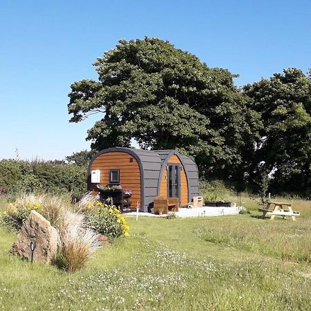 Villa Hornbeam Luxury Eco Pod At Trewithen Farm Glamping Launceston Exterior foto