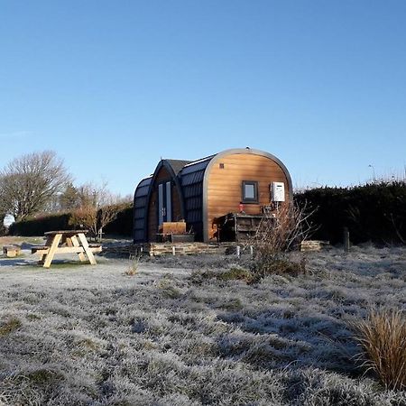 Villa Hornbeam Luxury Eco Pod At Trewithen Farm Glamping Launceston Exterior foto