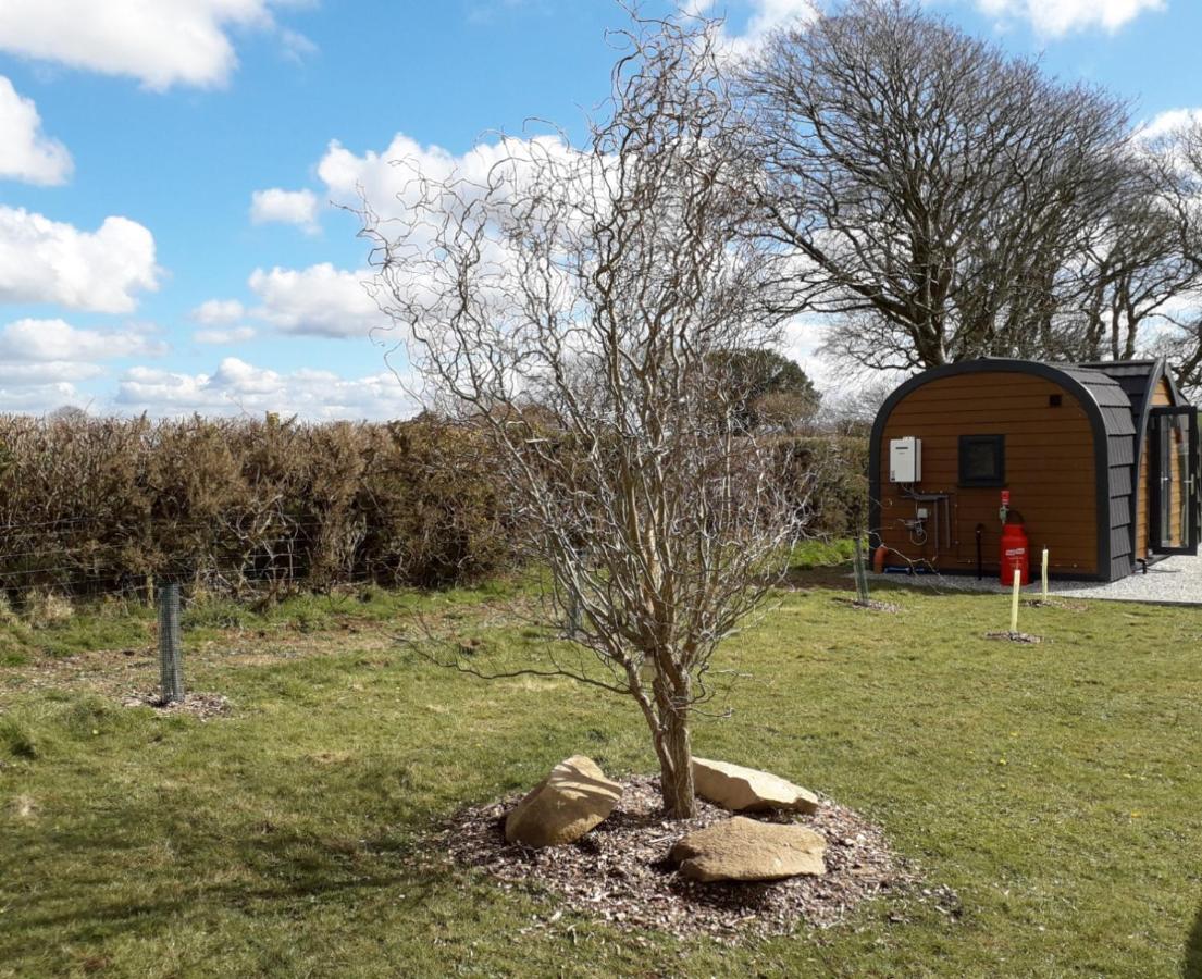 Villa Hornbeam Luxury Eco Pod At Trewithen Farm Glamping Launceston Exterior foto