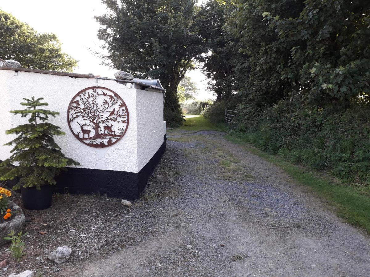 Villa Hornbeam Luxury Eco Pod At Trewithen Farm Glamping Launceston Exterior foto