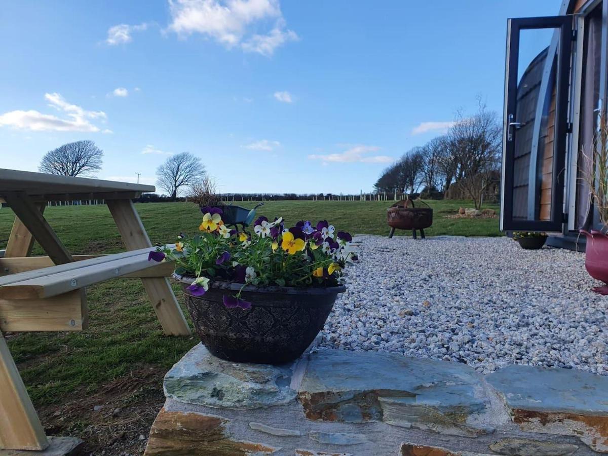 Villa Hornbeam Luxury Eco Pod At Trewithen Farm Glamping Launceston Exterior foto