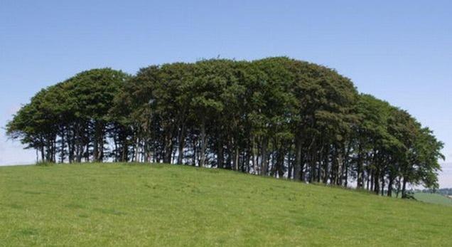 Villa Hornbeam Luxury Eco Pod At Trewithen Farm Glamping Launceston Exterior foto