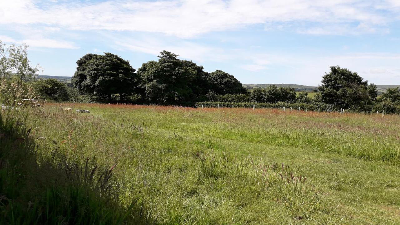 Villa Hornbeam Luxury Eco Pod At Trewithen Farm Glamping Launceston Exterior foto