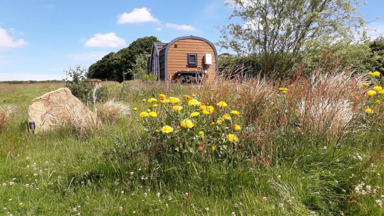 Villa Hornbeam Luxury Eco Pod At Trewithen Farm Glamping Launceston Exterior foto