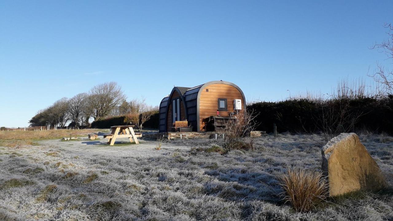 Villa Hornbeam Luxury Eco Pod At Trewithen Farm Glamping Launceston Exterior foto